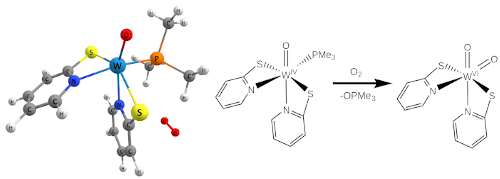 Tungsten complex used for oxygen capture and activation